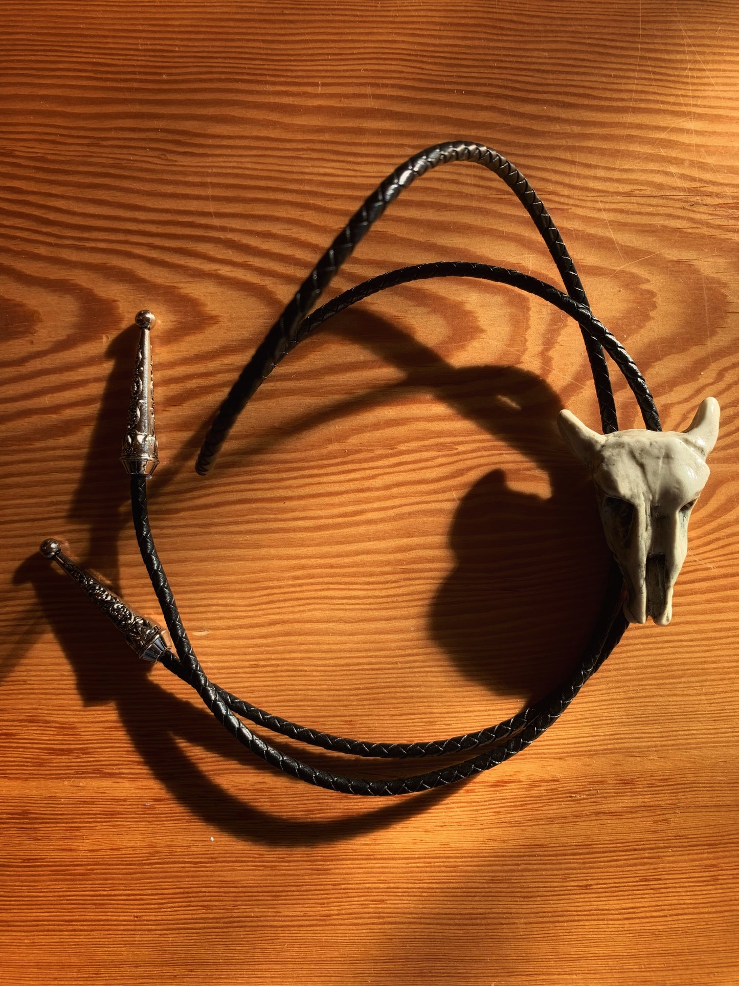 Cow Skull Bolo Tie